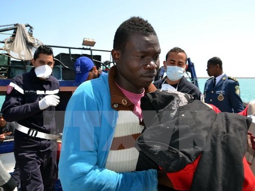 Италия расследует смерть около 400 ливийских мигрантов в Средиземном море - ảnh 1